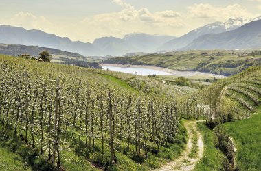  © Carlo Baroni/www.visittrentino.info