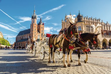 Kutsche an den Tuchhallen in Krakau © Sergii Figurnyi-fotolia.com