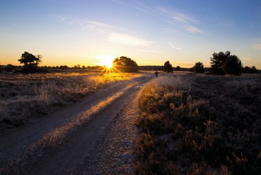 Landschaft in der Lüneburger Heide im Winter © Meike_I-fotolia.com