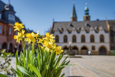 Frühling in Goslar © GOSLAR Marketing GmbH/Stefan Schiefer