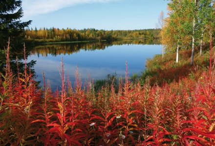 Herbststimmung am See in Lappland