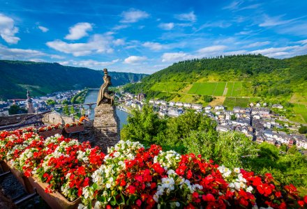 Blick von der Burg Cochem auf die Mosel